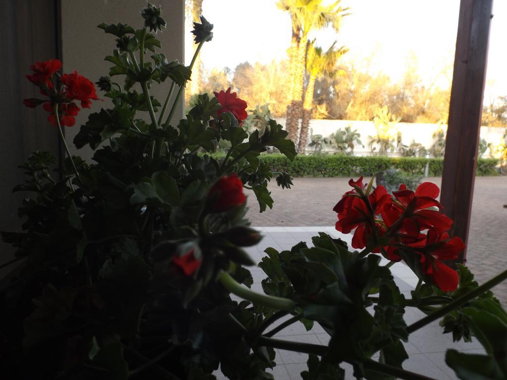 Villetta Del Salento Exclusive B&B 갈리폴리 외부 사진